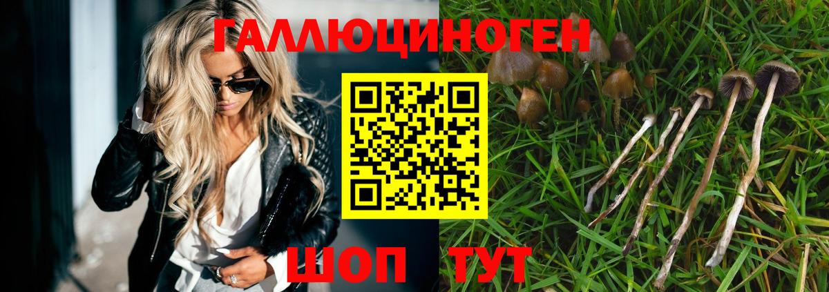 Галлюциногенные грибы мухоморы Карабулак