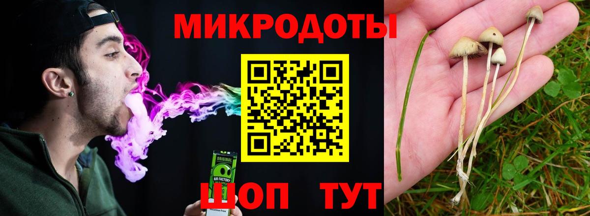 Псилоцибиновые грибы мицелий  Псилоцибиновые грибы Magic Shrooms  Карабулак 