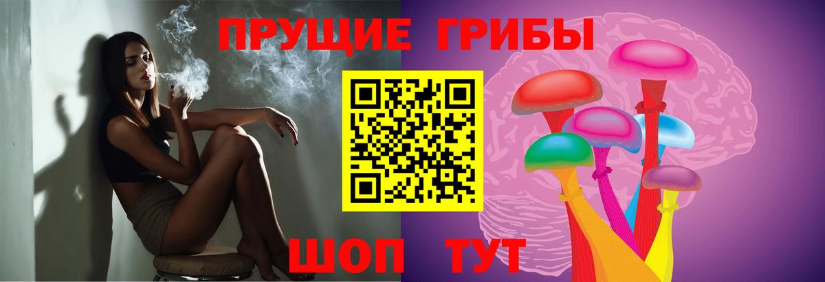 Псилоцибиновые грибы GOLDEN TEACHER  Псилоцибиновые грибы Cubensis  Вход с VPN  Карабулак 
